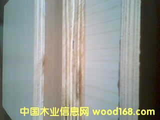 ���ӌ�ľ�N����Ԕ����B