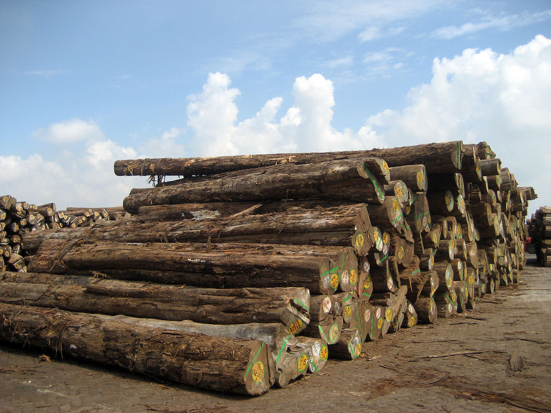 ��ľԭľ��Ԕ��(x��)��B