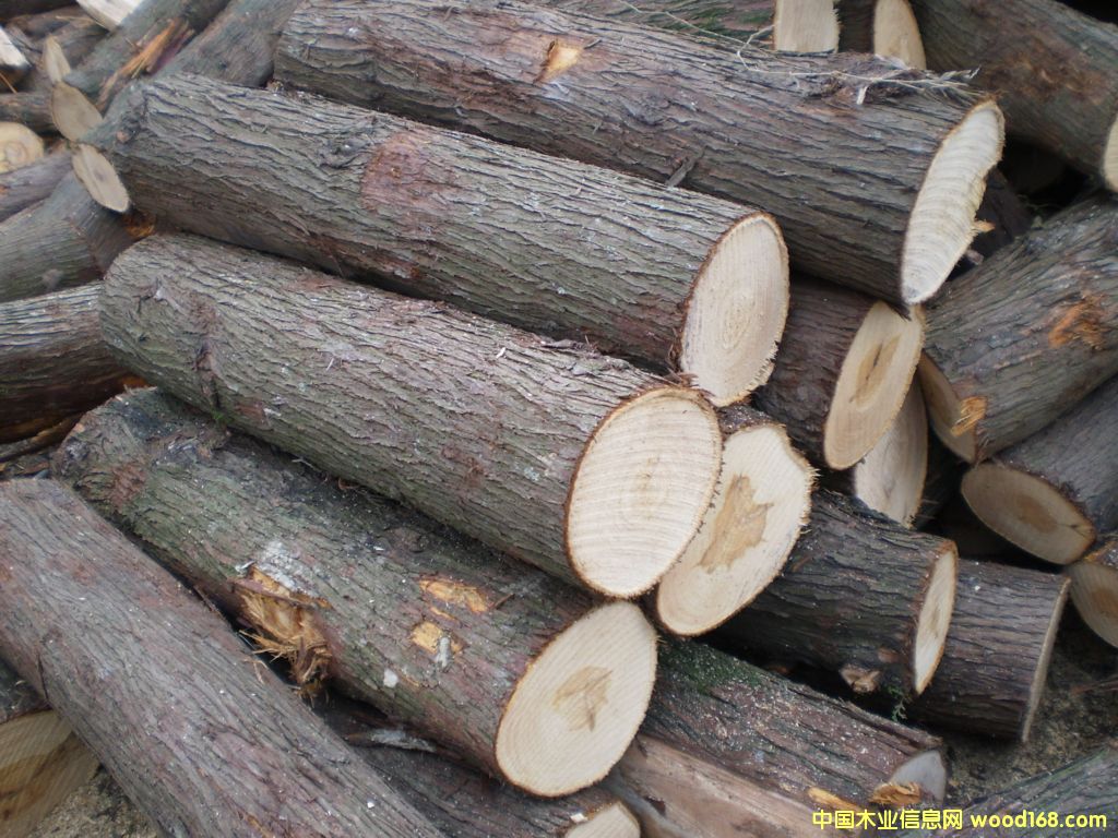 ��(chu��ng)�I(y��)��ľ��Ԕ����B