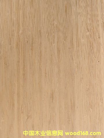 �o���a,����͸�׵���Ƥ