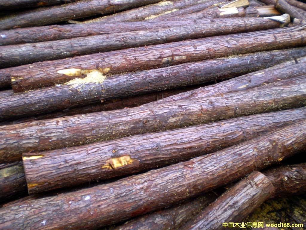 ɼľ��Ԕ��(x��)��B