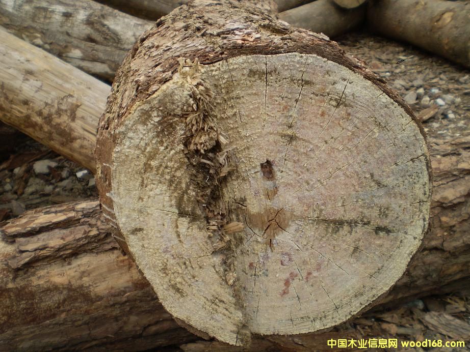 ��ľ��Ԕ��(x��)��B