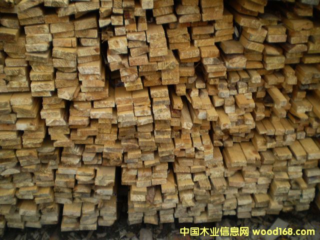 ľ����ľ����Ԕ��(x��)��B