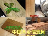 ɽ�|����ľ������ľ�����}���Ԕ����B