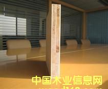 �����ƺ�о��(sh��)ľ�T�����T�װ�ϵ�� ��Ԕ��(x��)��B