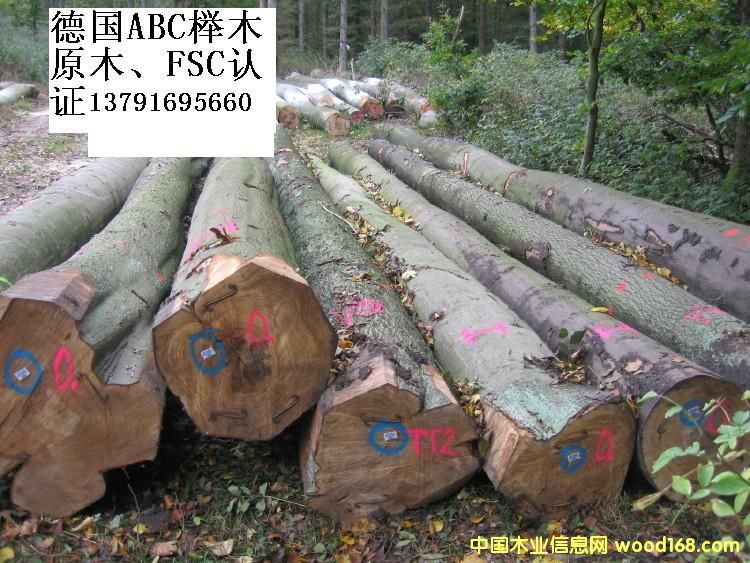 FSC�J(r��n)�C�ĵ���ľԭľ��Ԕ��(x��)��B