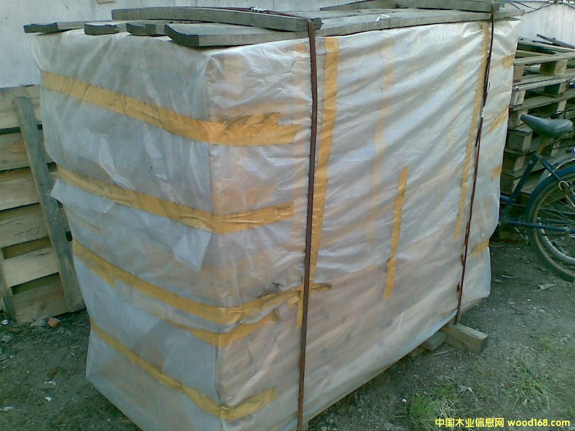 �c(di��n)���鿴��ľ0.5mmС�ϷŴ�DƬ