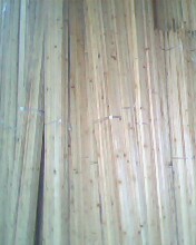 �c���鿴ɼľ�l�Ŵ�DƬ