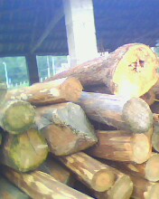 �c���鿴ɼľ�Ŵ�DƬ