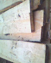 �c���鿴��ľ�����䡷��ķŴ�DƬ