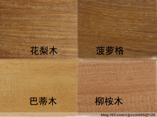 �c���鿴�㽭����ľ�Ŵ�DƬ