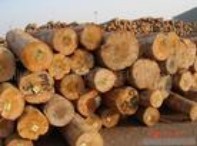 �����������mݗ����ԭľ��Ԕ����B