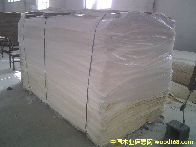 �c���鿴��ľƯ�ןo���Ŵ�DƬ