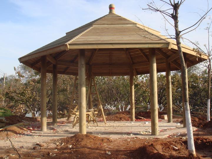 ������ľ