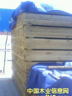 ��ľ��Ԕ����B