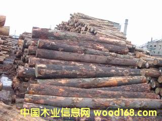 ���ɶш�(ch��ng)