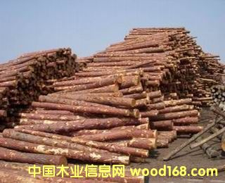 ���~��ԭľ