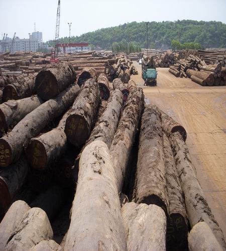 �Ĵ�������ľԭľ