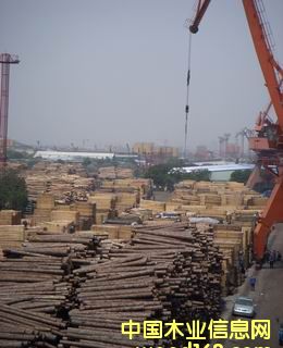 ľ���ш�(ch��ng)