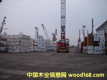 ���NҎ(gu��)���ĺ�ľ����Ԕ��(x��)��B