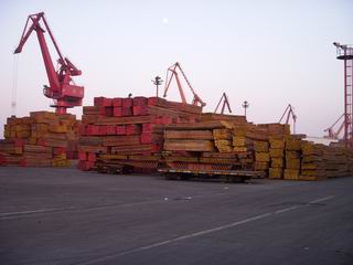 ����ľ��