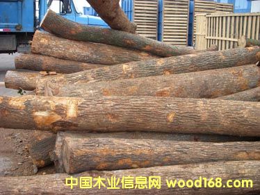 С�~����ľ