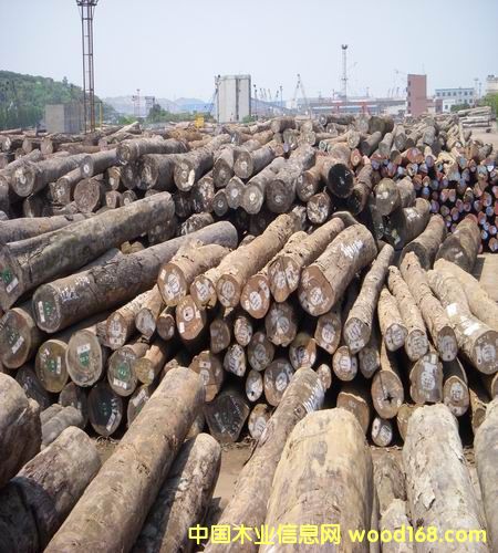 �Ҿ�ľ�Ķш�(ch��ng)