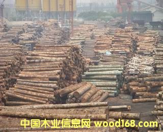 ԭľ�ш�(ch��ng)