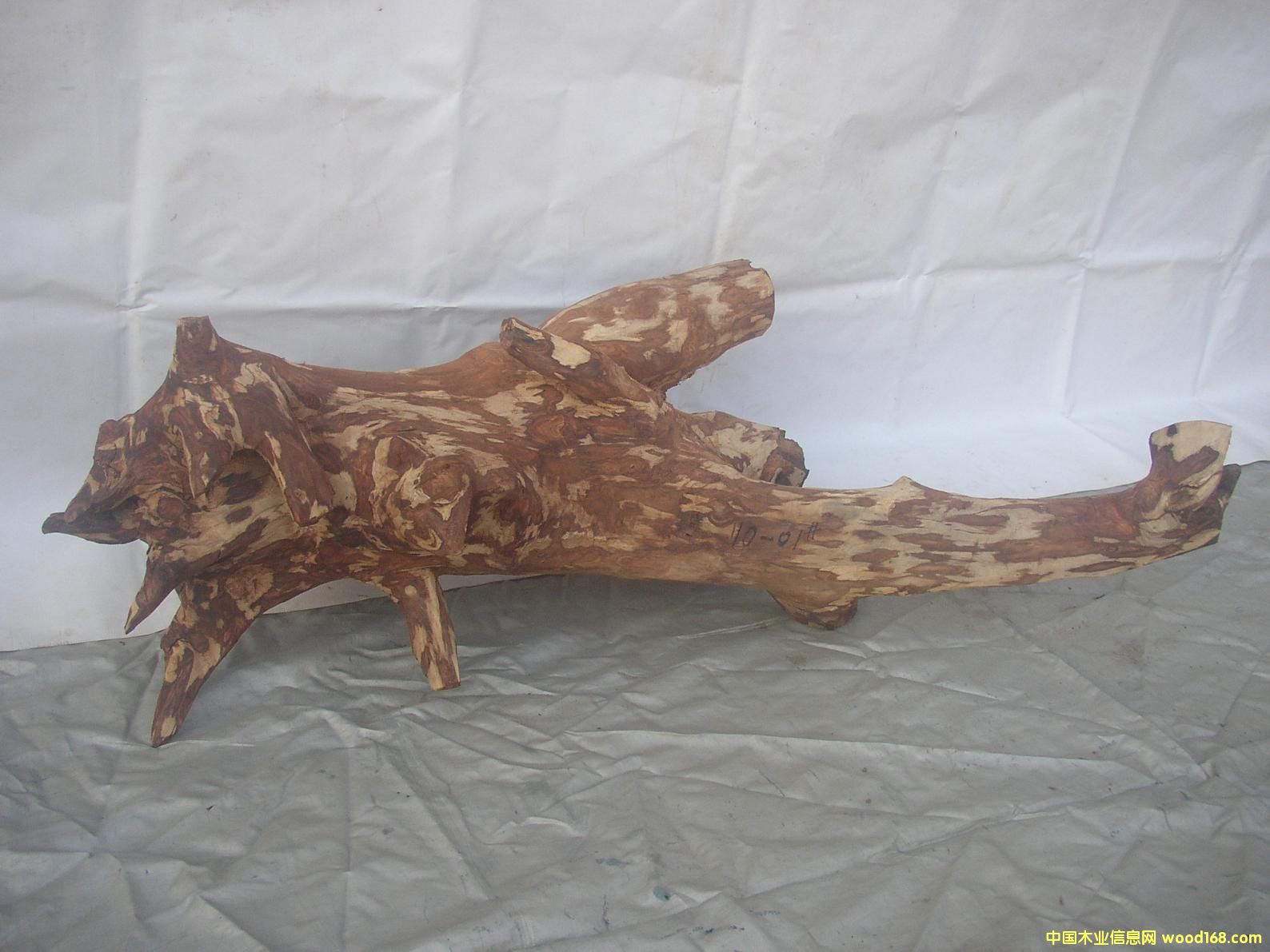 �����S����10-01̖(h��o)��Ԕ��(x��)��B