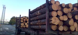 ����(gu��)�Ϸ���ԭľ��Ԕ��(x��)��B