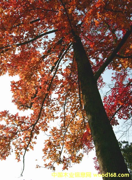 �����(sh��)