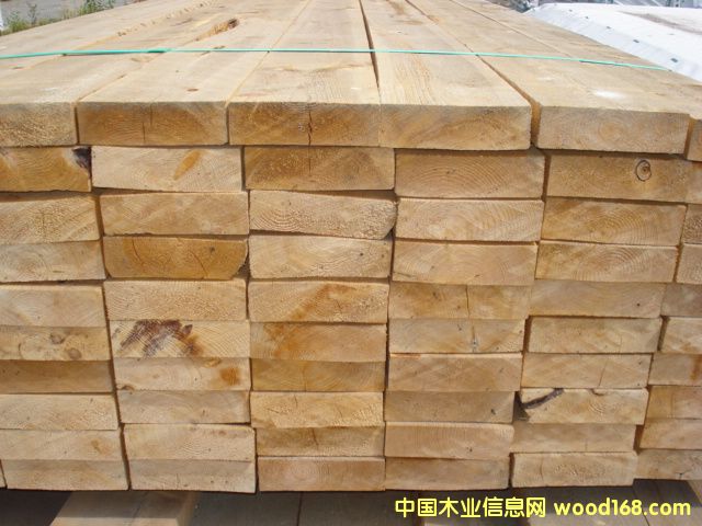 �c���鿴��ľ�Ŵ�DƬ