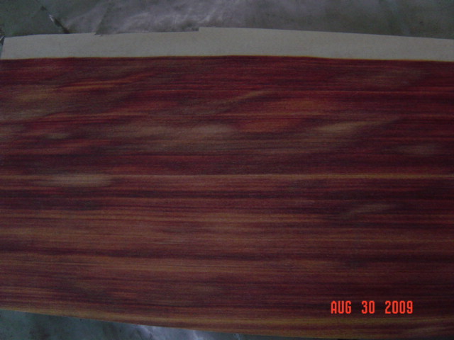 �t��֦��Ԕ��(x��)��B