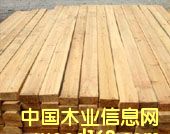 �c(di��n)���鿴ɼľ�Ŵ�DƬ