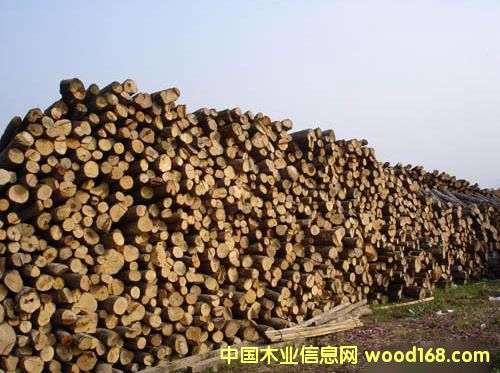 �c(di��n)���鿴ɼľ�Ŵ�DƬ