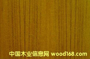 �c(di��n)���鿴��ľ����Ŵ�DƬ