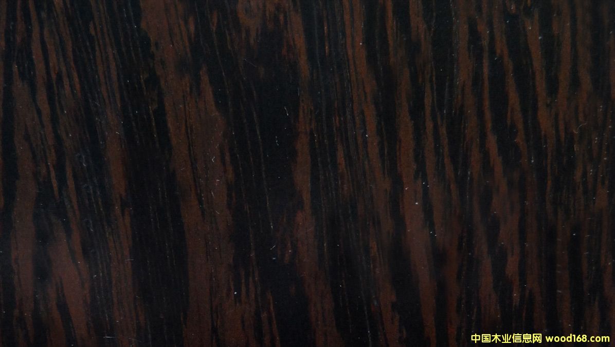 �c(di��n)���鿴�F��ľ����Ŵ�DƬ