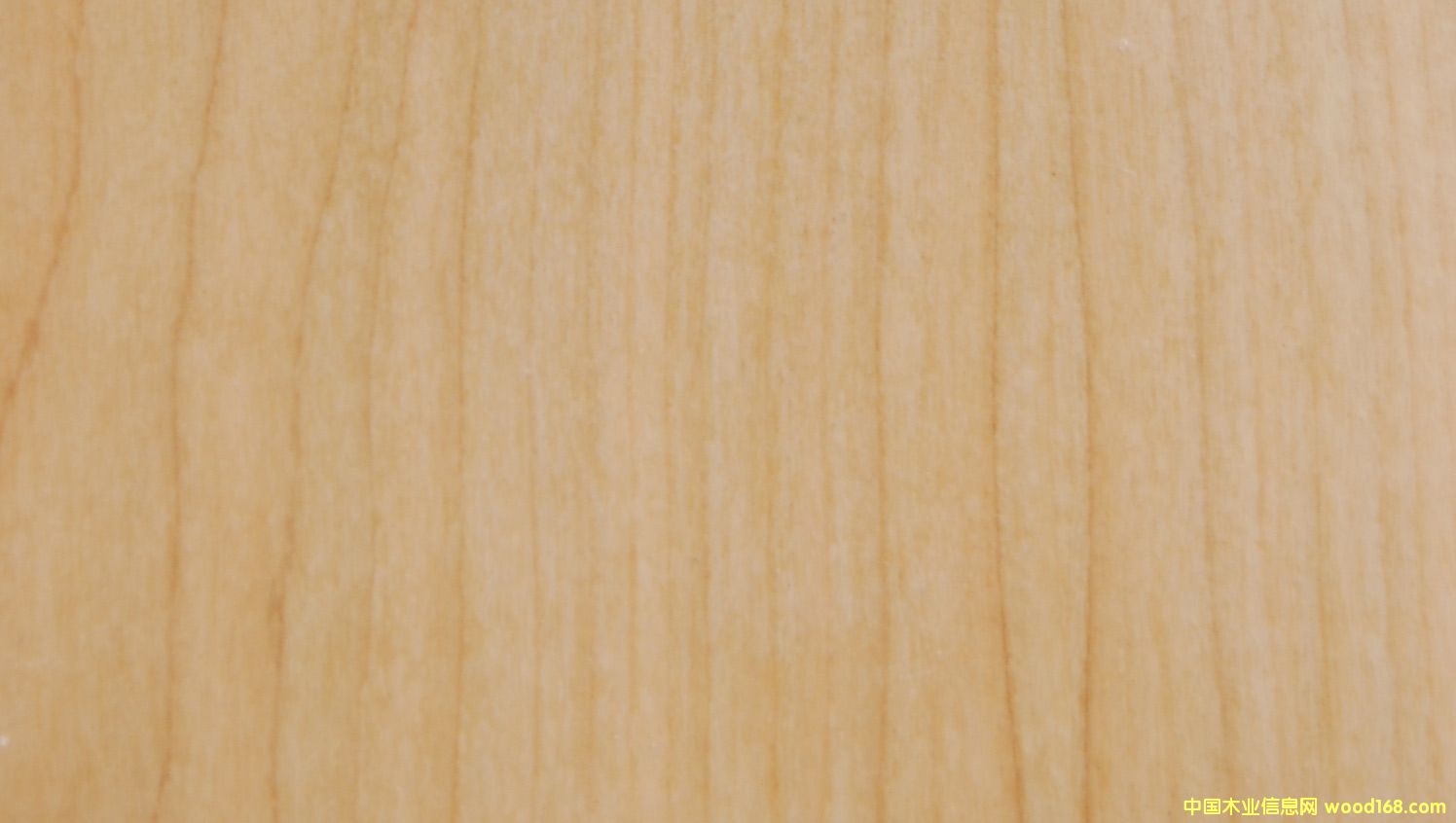 �c(di��n)���鿴����(gu��)��������Ŵ�DƬ