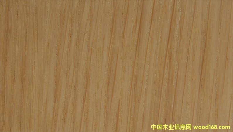 �c(di��n)���鿴��������Ŵ�DƬ