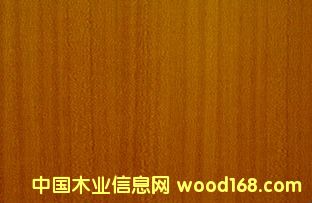 �c(di��n)���鿴ɳ��������Ŵ�DƬ