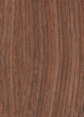 �c���鿴�ں��ҷŴ�DƬ