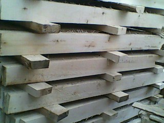 [��] ��ľ�� ľ�� ľ�l ľƬ