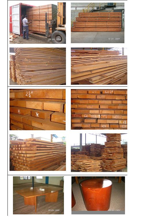 �c���鿴피��tľ-쳝��һ���ľ�Ŵ�DƬ