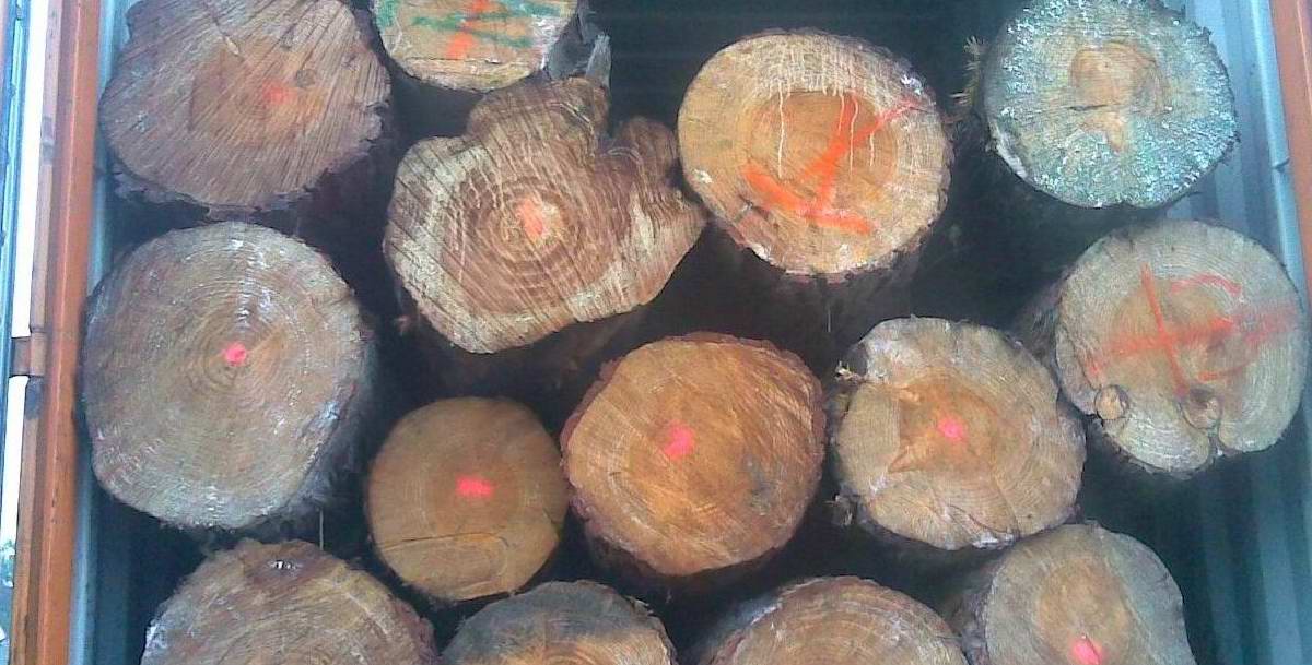 �c(di��n)���鿴�Ĵ�����ݗ���ɷŴ�DƬ