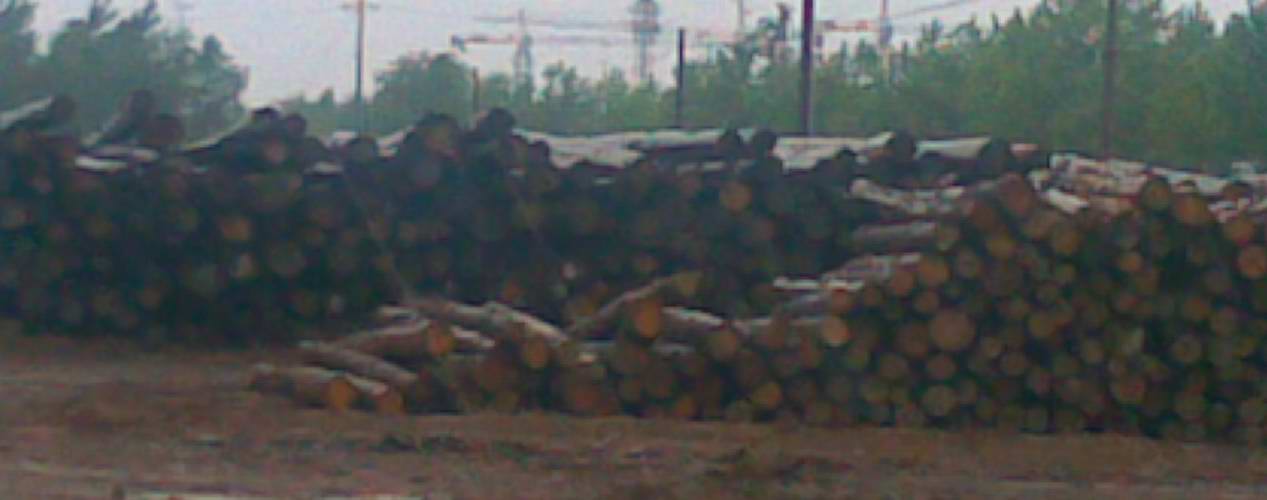 �c(di��n)���鿴ݗ���ɷŴ�DƬ