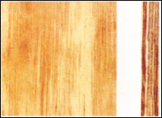 �� ���z�ذ�