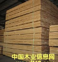 �c(di��n)���鿴ɼľ���Ʒ�Ŵ�DƬ