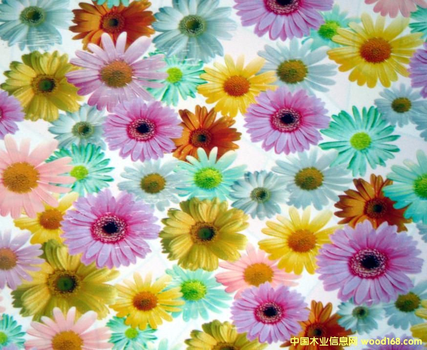 �c(di��n)���鿴PVC�Ŵ�DƬ