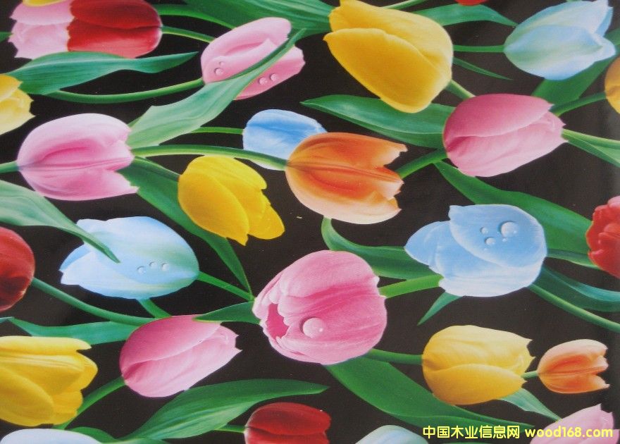 �c(di��n)���鿴PVC�Ŵ�DƬ