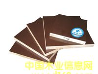 ����ģ�塪�����ɵ�Ԕ����B